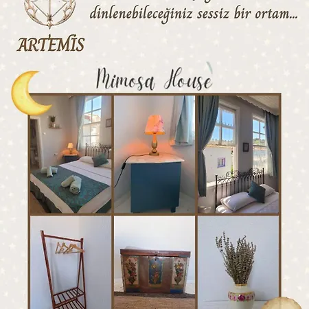 B&B Mimosa House