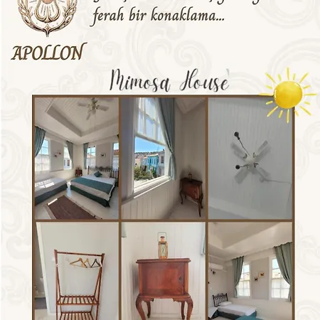 B&B Mimosa House Ayvalı