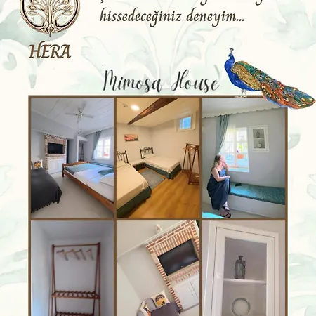 Mimosa House Ayvalık Ayvalı