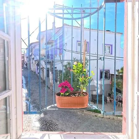 Mimosa House B&B *