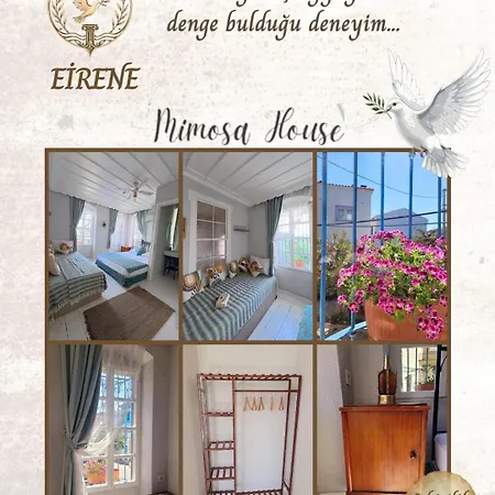 Nocleg ze śniadaniem Mimosa House