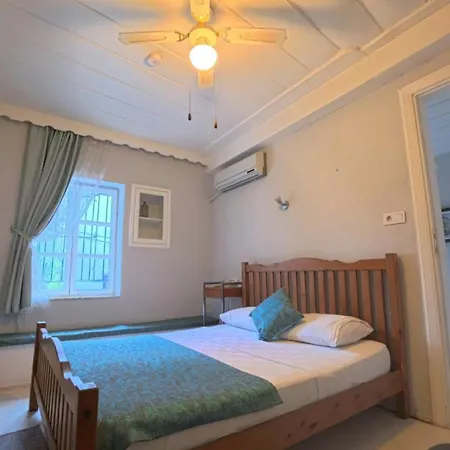Mimosa House Ayvalık Ayvalı